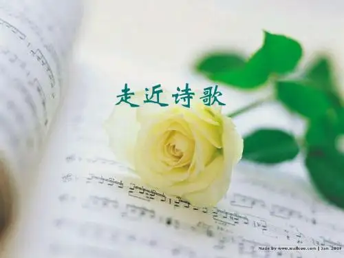 走近诗歌