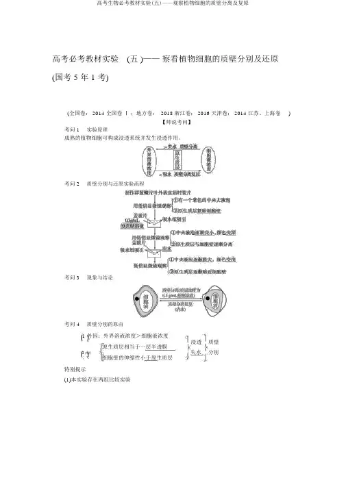 高考生物必考教材实验(五)——观察植物细胞的质壁分离及复原