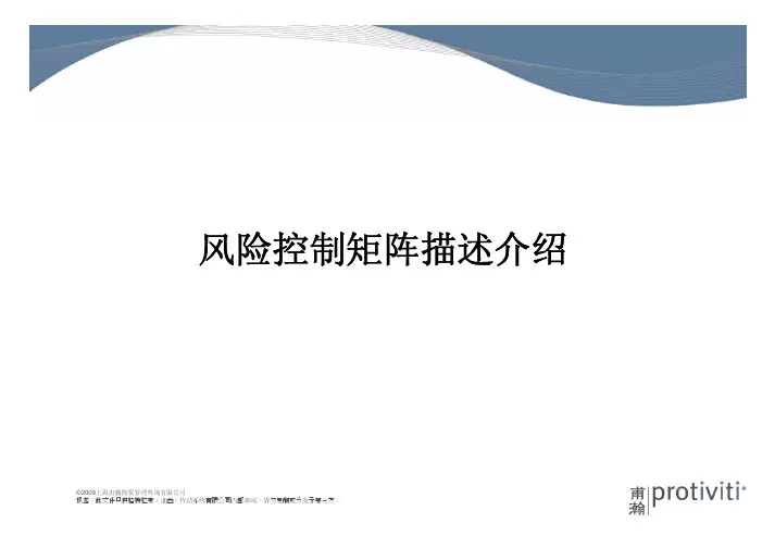 甫瀚风险控制矩阵介绍