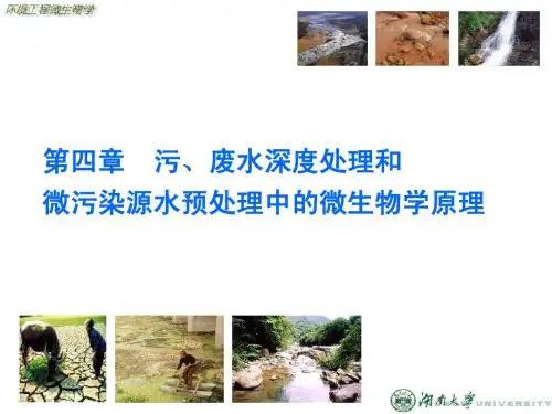 第二篇第4章 污、废水深度处理和微污染源水预处理中的微生物学原理