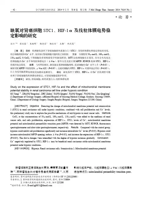 缺氧对肾癌细胞STC1、HIF-1α及线粒体膜电势稳定影响的研究