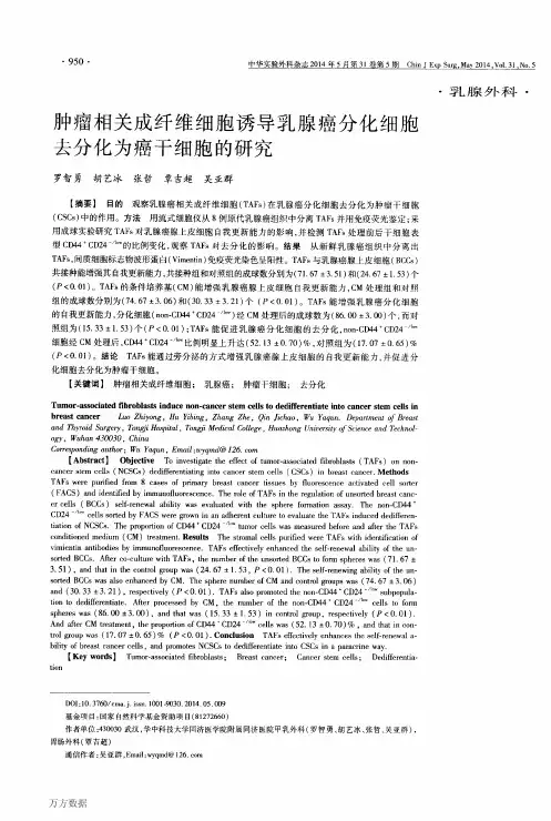 肿瘤相关成纤维细胞诱导乳腺癌分化细胞去分化为癌干细胞的研究