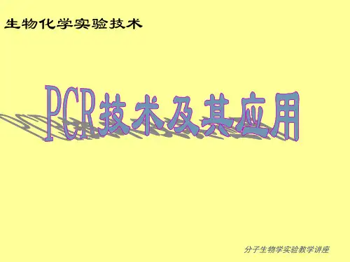 PCR技术