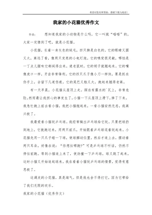 我家的小花猫优秀作文