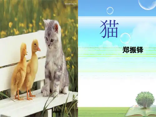 部编优质课一等奖初中语文七年级上册《猫》