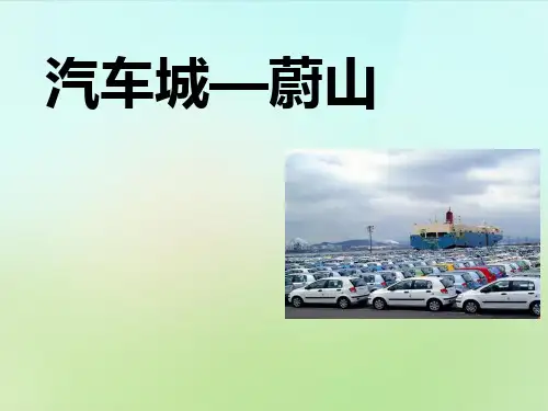 《汽车城—蔚山》文明中心—城市-人教版历史与社会七年级上册