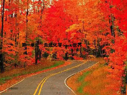 中考化学总复习 第1单元 走进化学世界课件