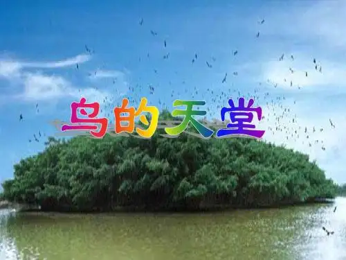 《鸟的天堂》PPT课件[1]