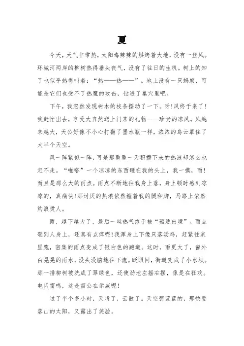 以《夏》为话题的初二优秀作文3篇