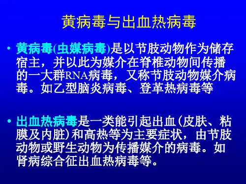 黄V出血热V疱疹V