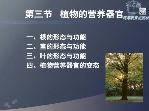 植物生产与环境第一章课件