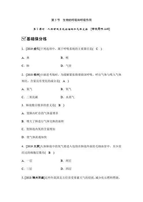 2020新浙教版八年级科学下册同步测试：3.5生物的呼吸和呼吸作用