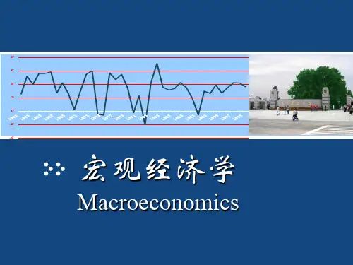 宏观经济学PPT教学课件