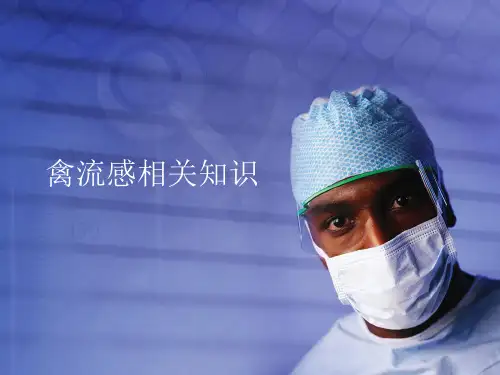 禽流感相关知识PPT课件