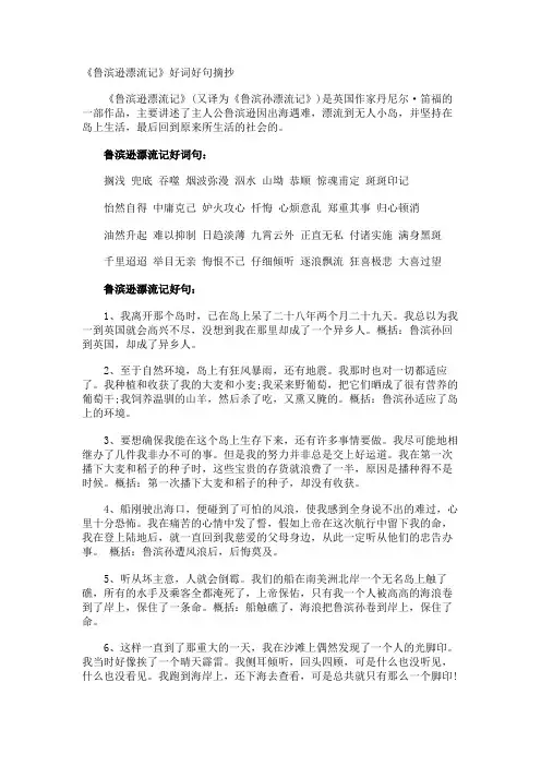 《鲁滨逊漂流记》好词好句摘抄