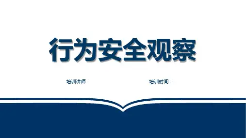 行为安全观察(46页)