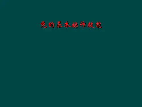 兔的基本操作技能