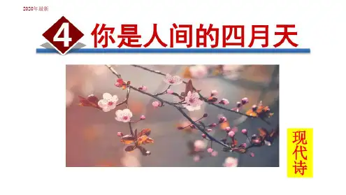 部编本(初三)九年级语文上册一单元第4课:《你是人间的四月天》课件(2020年)