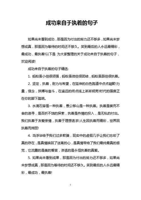 成功来自于执着的句子