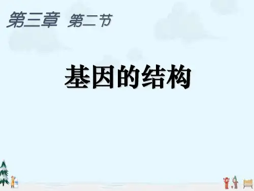 中小学优质课件基因的结构课件.ppt