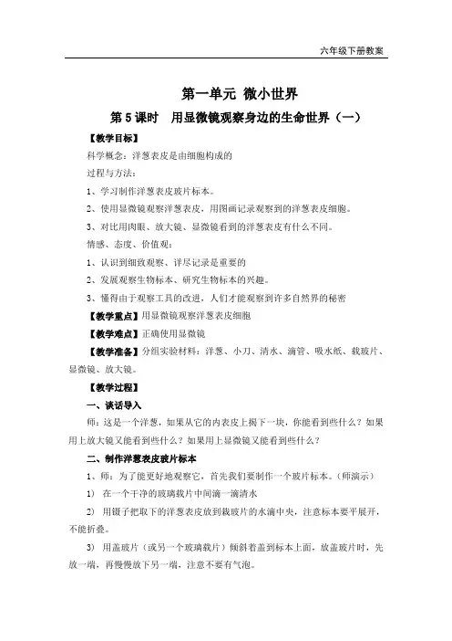 教科版六年级科学下册《用显微镜观察身边的生命世界(一)》教案