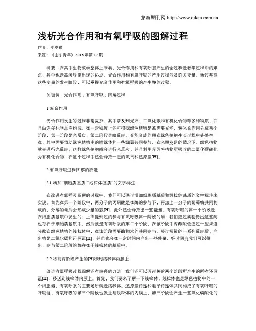 浅析光合作用和有氧呼吸的图解过程
