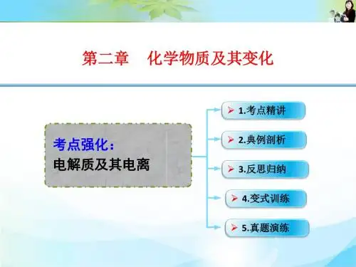 2016年高考一轮复习高三化学考点课件：2-04考点强化 电解质及其电离