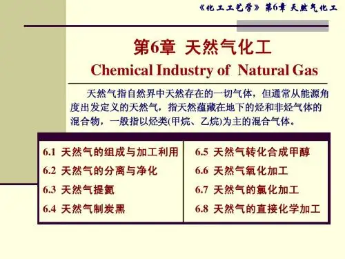 第6章 天然气化工