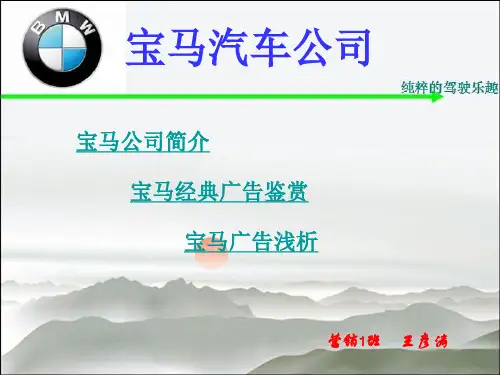 宝马汽车公司广告-王彦涛