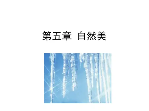 大学美育考试自然美