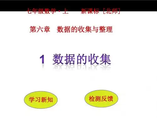 数据的收集与整理ppt9(8份) 北师大版