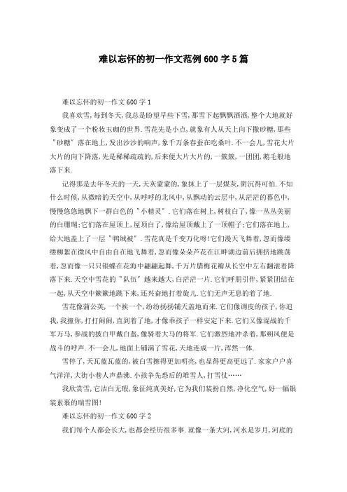 难以忘怀的初一作文范例600字5篇