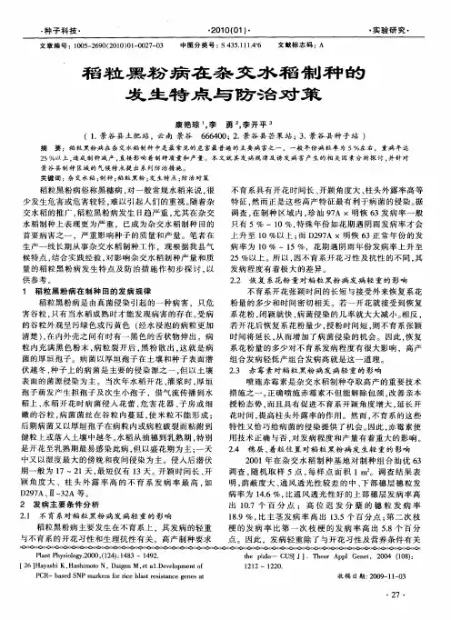 稻粒黑粉病在杂交水稻制种的发生特点与防治对策