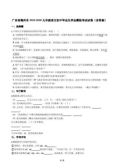 广东省梅州市2019-2020九年级语文初中毕业生学业模拟考试试卷(含答案)