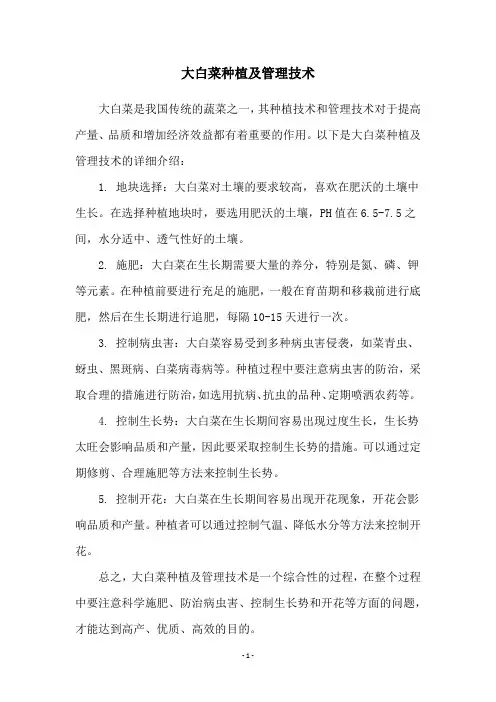 大白菜种植及管理技术