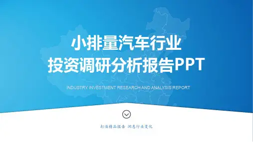 【精品】小排量汽车行业现状态势深度调研