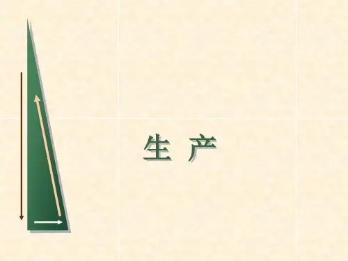 什么是生产