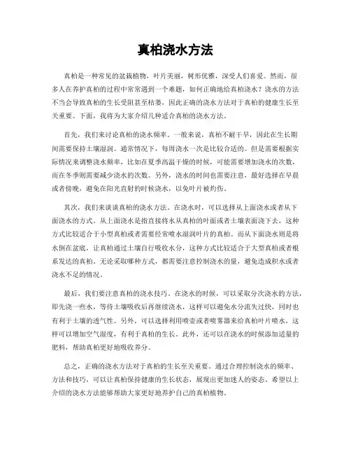 真柏浇水方法