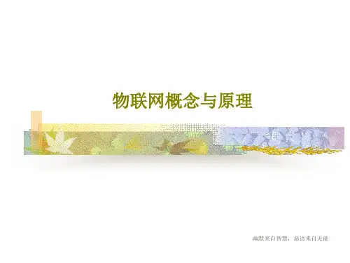 物联网概念与原理共46页文档