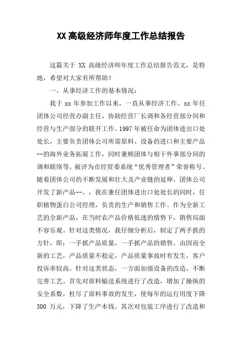 XX高级经济师年度工作总结报告