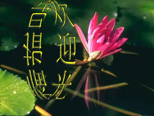 蒋家王朝的覆灭PPT课件