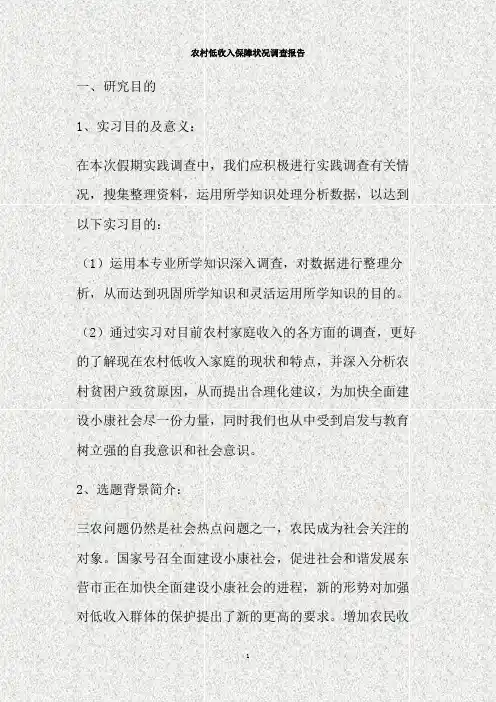 农村低收入保障状况调查报告(精)