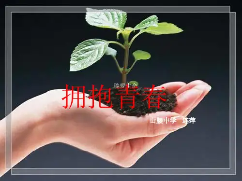 拥抱青春.ppt1