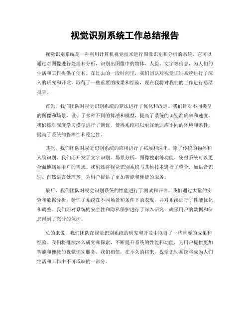 视觉识别系统工作总结报告