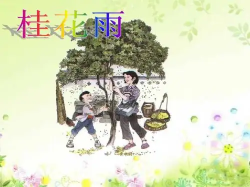 桂花雨_PPT课件