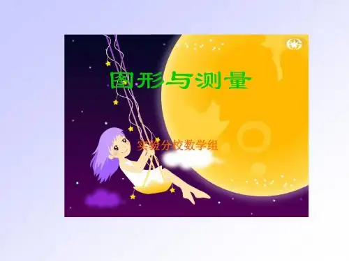 周长与面积(六年级)汇报课