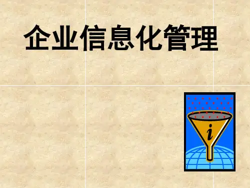 企业信息化管理(非常实用)