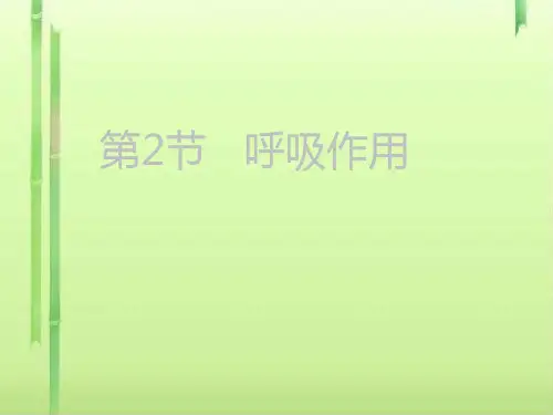 呼吸作用PPT课件5 北师大版