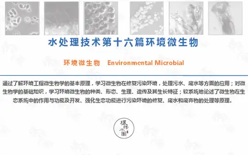 污水处理-环境微生物介绍