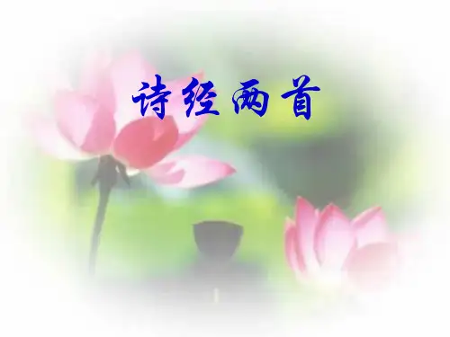 24《诗经两首》